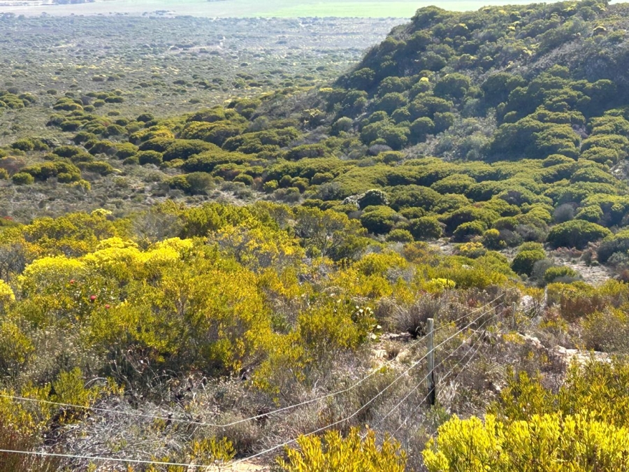 0 Bedroom Property for Sale in Heidelberg Rural Western Cape